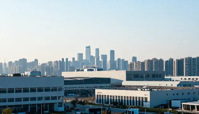资源分配:软件研发中的技术指导应用分析